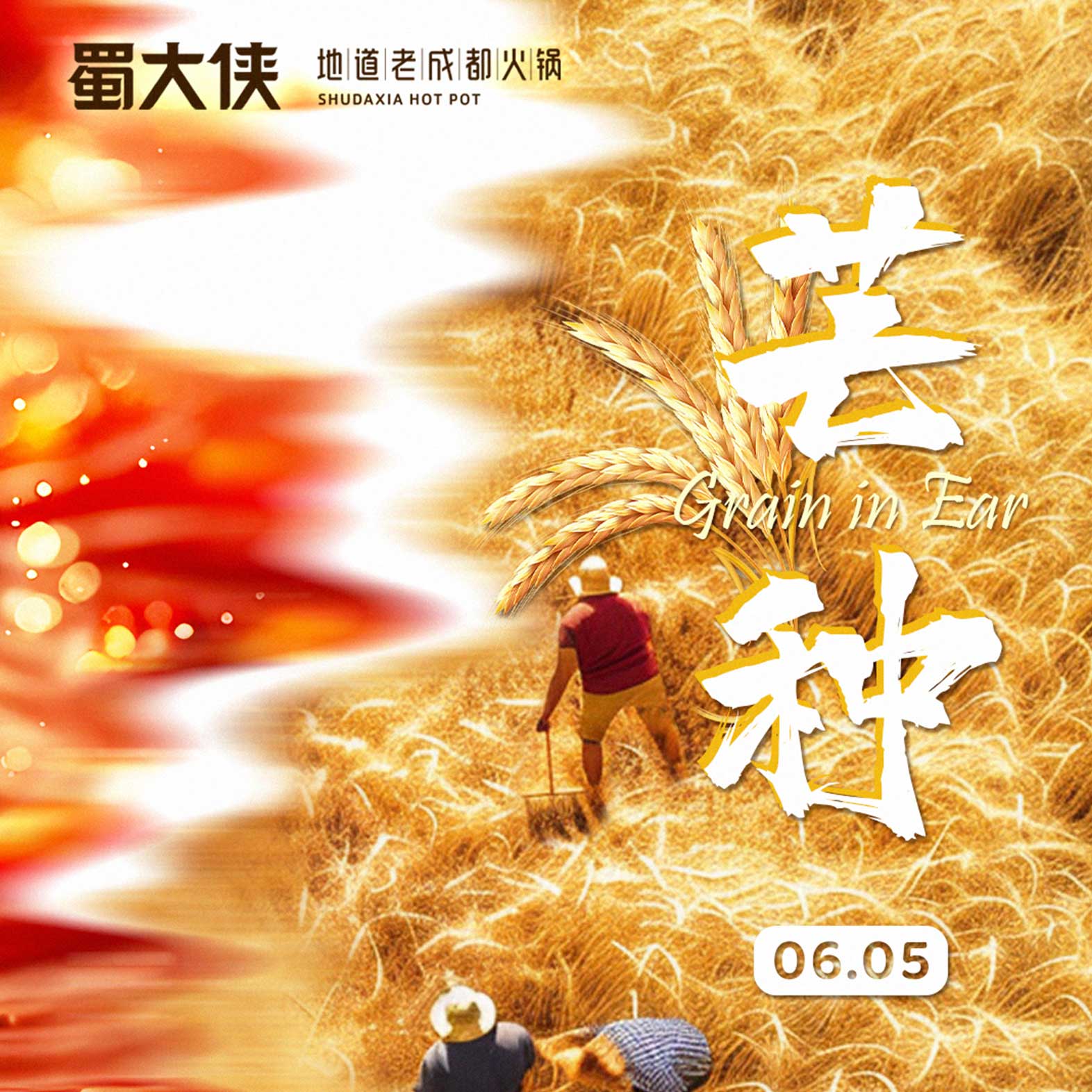 🌾芒种至 · 盛夏始🍲让生活越煮越香