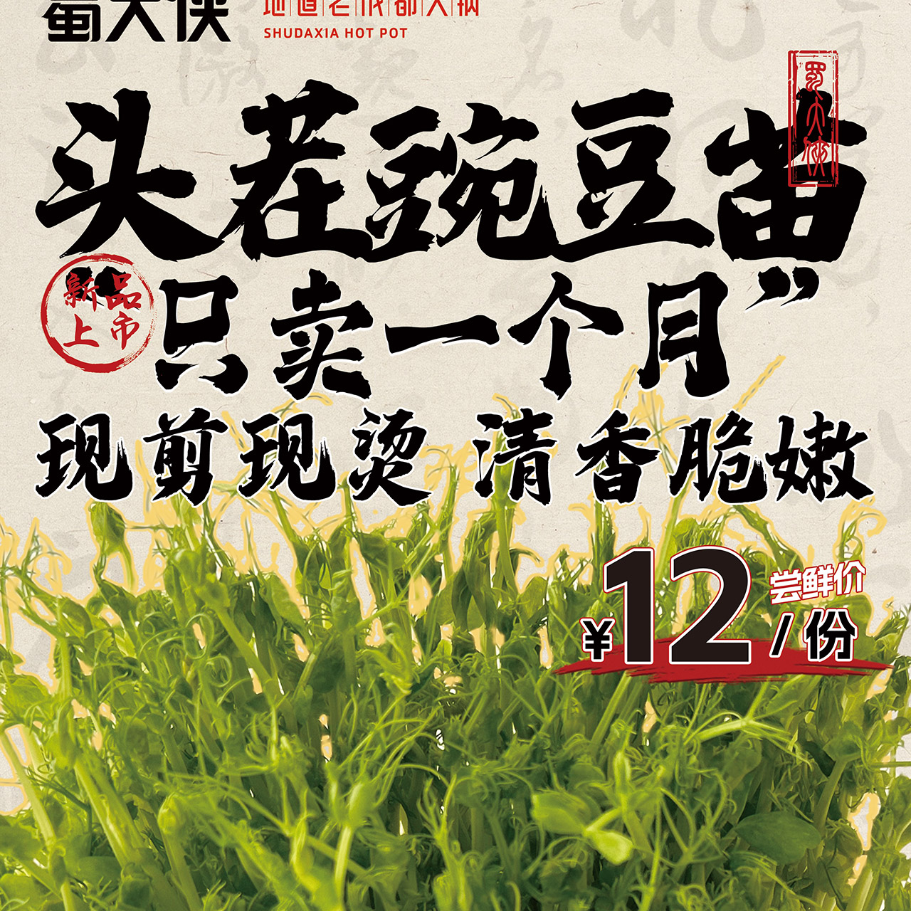 🌱初秋先人一步 品尝今年头茬“豌豆颠儿”